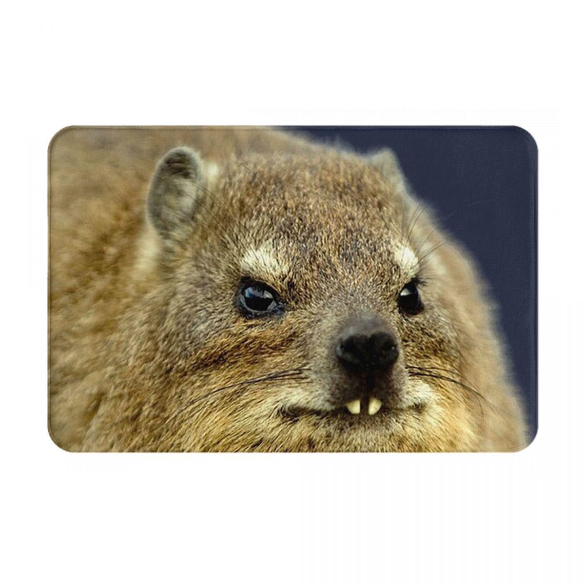 

Rock Hyrax Merry Christmas Ugly Style Anti-slip Doormat Floor Mat Carpet Rug for Kitchen Entrance Home Living room Footpad Mats 40x60cm