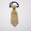 Bling Tie With Arrow Shape For Formal Events Gift For Adults