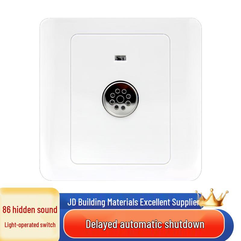Saizesi Type 86 Sound & Light Activated LED Switch