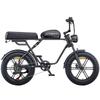 Electric bicycle ENGWE M1, 250W motor, 48V 15.6AH battery, top speed 25km/h, cruising range 90km, 20x4.0-inch tires