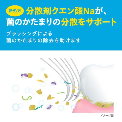 GUM (Gum) Periodontal Disease Prevention Medicated Toothpaste, Refreshing Cool Mint Type, 120g X 3 Packs + Bonus Included