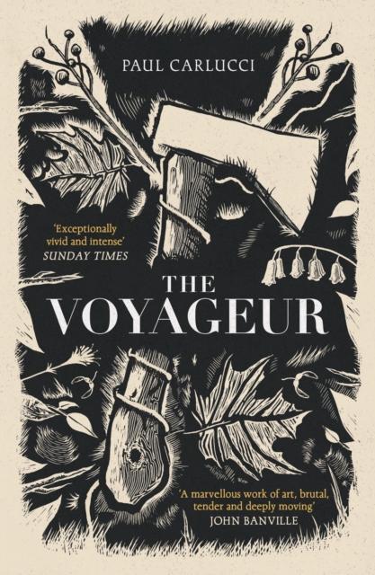 The Voyageur by Paul Carlucci Paperback Book 9781800753174