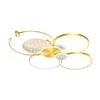 Modern Gypsophila Living Room Chandelier Smart Indoor Decorative Light With Remote Control Stylish Minimalist Hall Ceiling Lamp