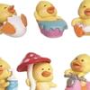 Of Small Duck Figures for Plant Pot Decoration