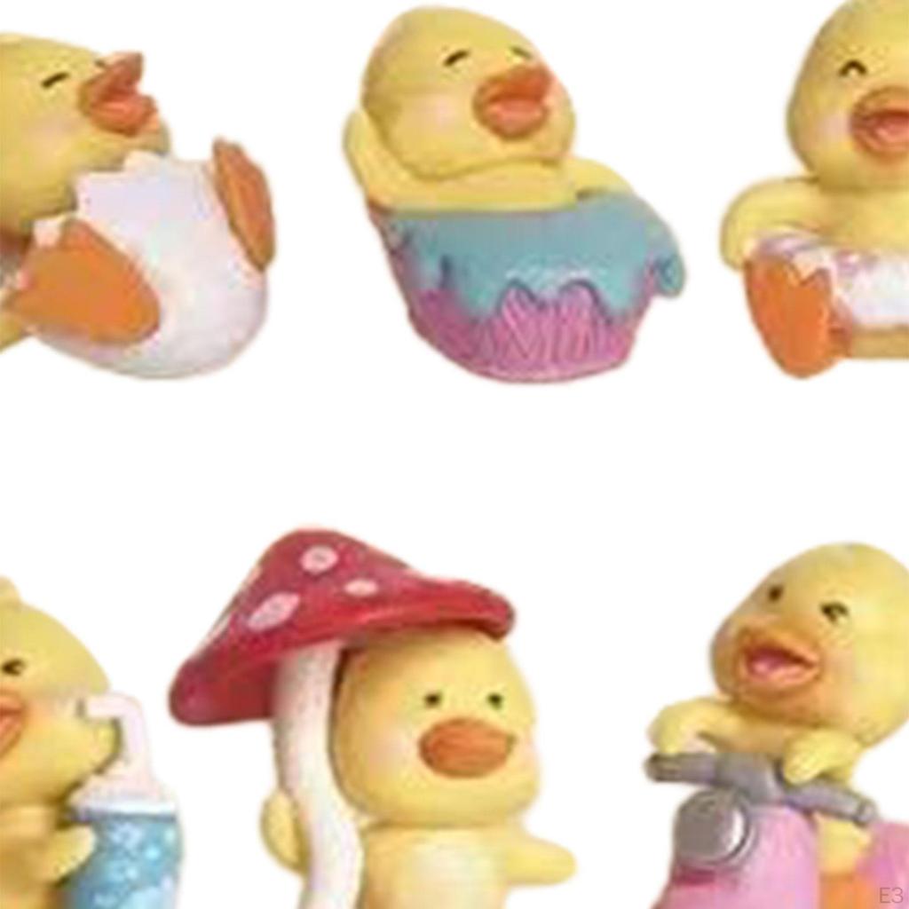 Of Small Duck Figures for Plant Pot Decoration