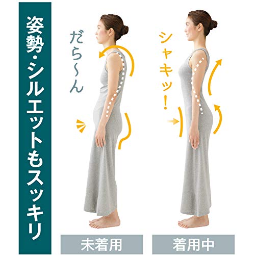 Meidai M.D.P. Stay-put, sleek waist support