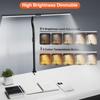 Double Head LED Clip Remote Control Desk Lamp 24W Swing Arm L-Shaped Architect Dimmable Transformable Reading Computer Light