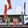 DOITOOL 5 Pcs Japanese Carp Windsock Streamer Fish Flag Kite Koinobori Hanging Decor for Japanese Sushi Bar Izakaya Room (70x17cm)