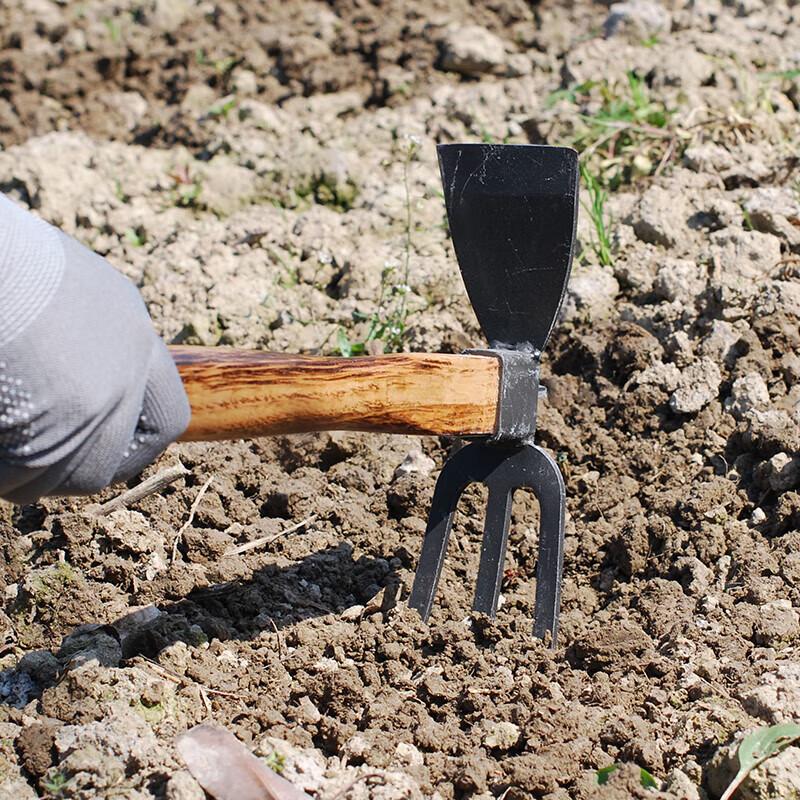 KAZZ Dual-Purpose Gardening Hoe and Rake CN plug (adapter included)
