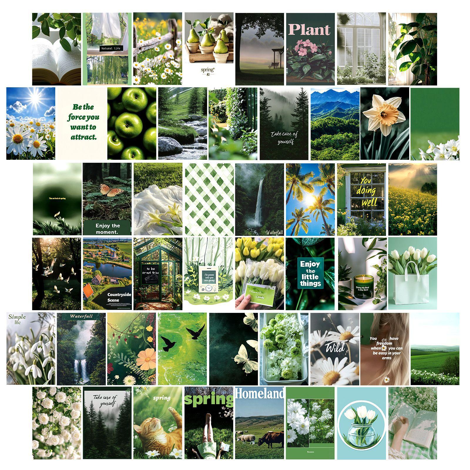 

50 листов/мешок, зеленая цветочная настенная декоративная открытка, зеленое настроение почтовая открытка декоративная картина, подарок родственникам и друзьям T01042618