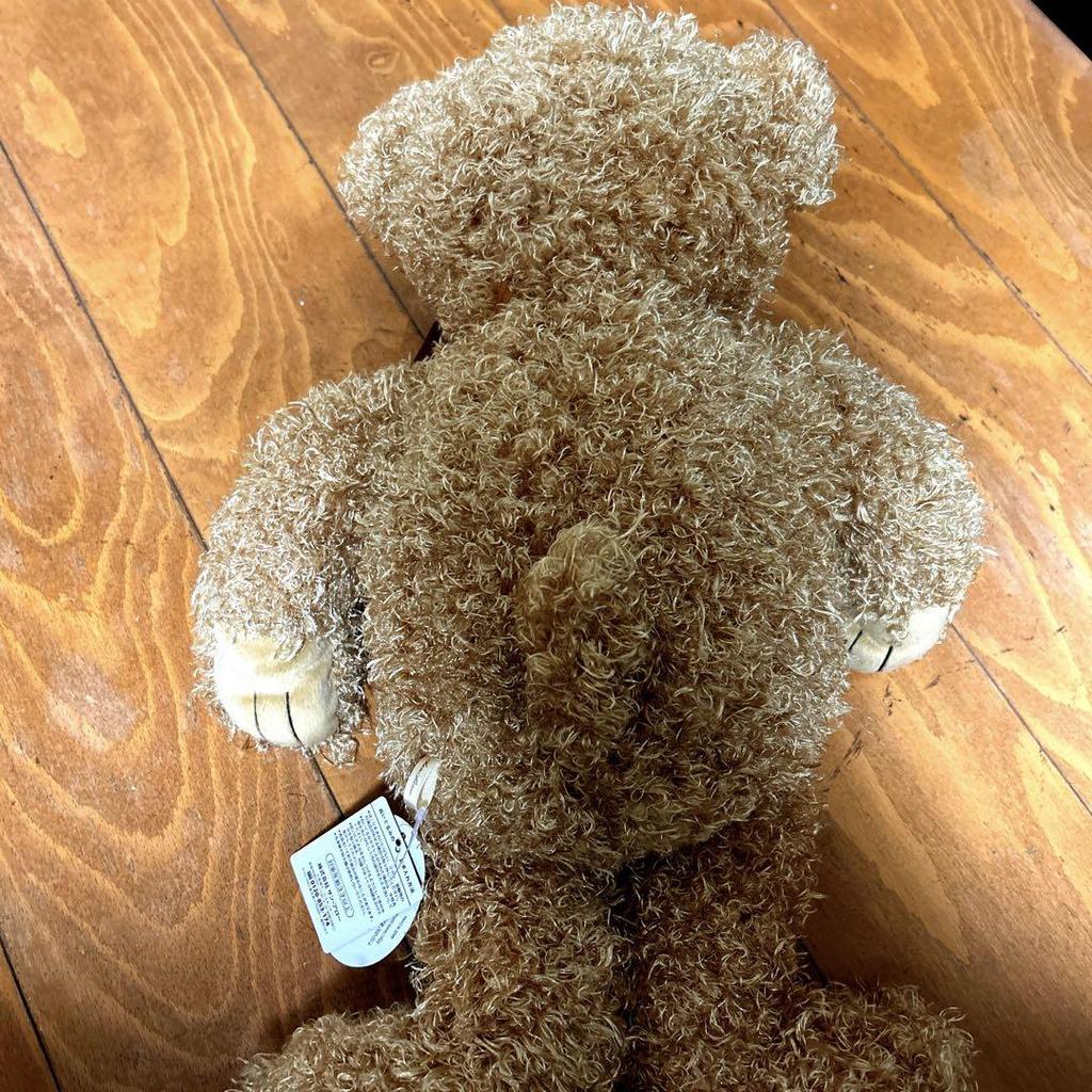 [USED] Teddy Bear Stuffed Animal