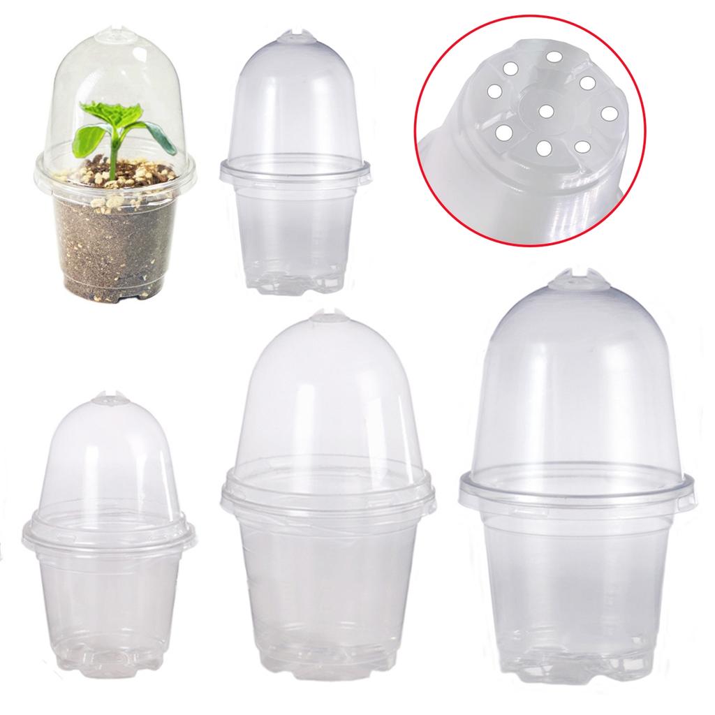 10/20Pcs Seedling Nursery Cup Thickened 3.5/4/5/6 Inch PET Garden Herb Flower Cultivation Seeds Germinate Seedling Pot with Lid