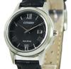 Citizen Eco-Drive FE1081-08E Watch