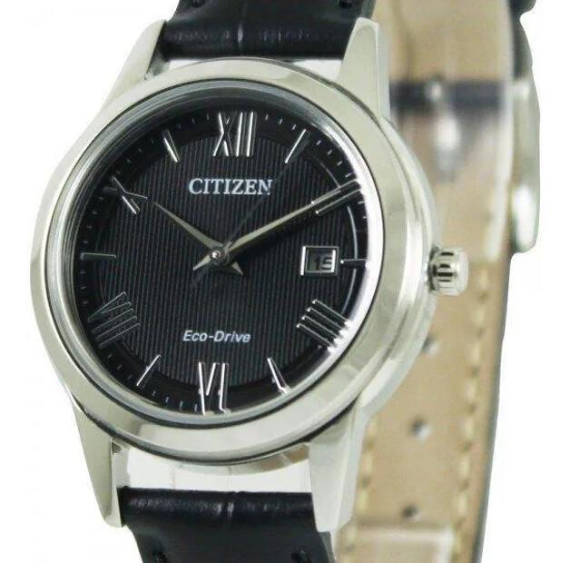 Citizen Eco-Drive FE1081-08E Watch
