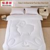 Hengyuanxiang Four-Season Class A Antibacterial Warm Wool Quilt