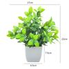 Plastový eukalyptus magnólie v květináči bonsaj pro vnitřní dárkovou dekoraci