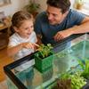 Aquarium Plant Holder Plastic Basket with Suction Cup for Fish Tank Aquatic Plant Fixing Stable Installation Floating Plant Pots