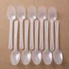 Lotte eLife Reusable Sanitary Spoon (10 Pieces/translucent)