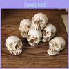 Halloweenská lebka Dekorace Miniaturní pryskyřičná figurka Pro párty a jako dárek
