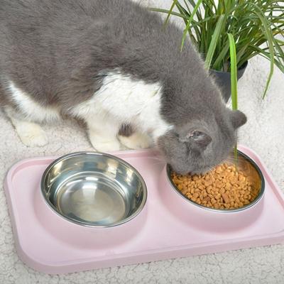 Stainless Steel Pet Bowls Anti-Spill Non-Slip Mat Dog Cat Food Bowl Easy Clean Double Bowl Pet Feeder Basin for Kitten Puppy