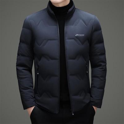 Men's Winter Business Casual Stand Collar Down Jacket - 2025 Edition, Thickened & Lightweight Fashionable Outerwear