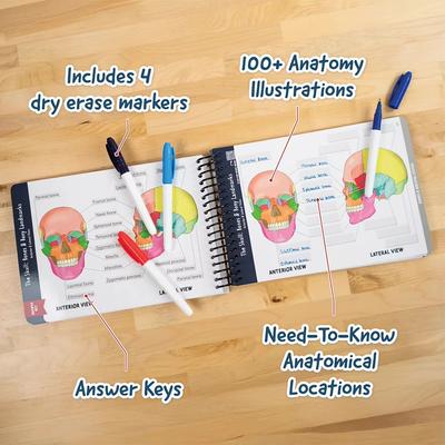 100+ Detailed Anatomy Illustrations Perfect for Students Entering Nursing Physical Therapy Radiology Pre-med and So Much More