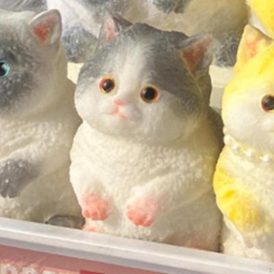 Sensory Fidget Basket Filler Small Cat Soft for Teens Children Adults Blue and White