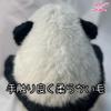 Realistic Panda Plush Toy, Perfect for Birthdays, Anniversaries, Presents, Children's Day, Healing, Smiles, Encouragement, Japanese Flowers, Fur Fur,