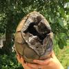 AA+ Dragon Seven-Layer Crystal Egg - Black and brown quartz containing mixed minerals, with a rough textured surface