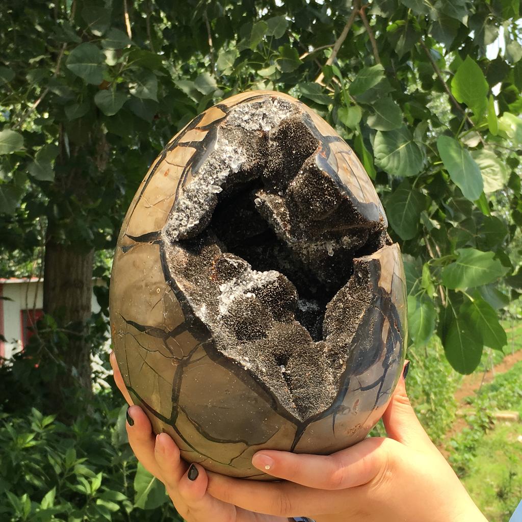 AA+ Dragon Seven-Layer Crystal Egg - Black and brown quartz containing mixed minerals, with a rough textured surface