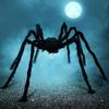 Halloween Große Schwarze Spinne, Gefälschte Riesige Schwarze Plüschspinne, Outdoor Spinnen Requisiten, Spukhaus Garten Hof Gruselige Dekorationen