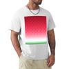 Watermelon Tshirt Big And Tall Loose Fit Tshirt