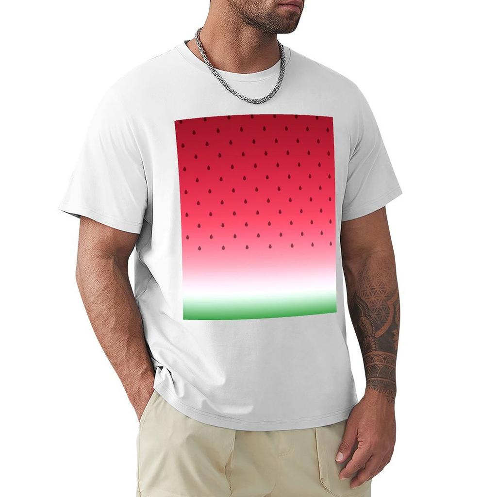 Watermelon Tshirt Big And Tall Loose Fit Tshirt