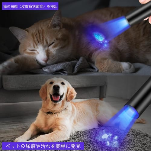 TLPGHLP Svartlys UV-lys Anisakis-lys [2025 Forbedret Versjon USB-C Oppladbart] UV ??Lommelykt, 365nm UV-bølgelengde, Kompakt, Kraftig, USB Ty