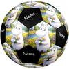 Custom Name Moomin Theme Size 5 Soccer Ball, Suitable for Both Indoor and Outdoor Matches, a Gift Suitable for Everyone.