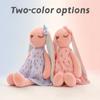 Miniso An An Rabbit Plush/soft and Cute Long-eared Doll/toy Pillow/little Rabbit Plush Doll/fresh Floral Dress with Smile Design