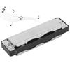 10‑Hole Harmonica Blues C Key Harp Wind Musical Instrument Beginner Practice AM‑20DBlack