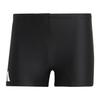 Mens Swimming Trunks