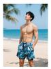 Men's Quick-Dry Double Layer Swim Trunks - Breathable, Loose Fit Beach & Sport Shorts