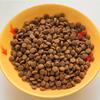 Anti Tipping Pet High Foot Bowl Cute Pet Drinking Feeder Pet Supplies Cat Bowl  Kitten Puppy