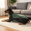High Stretch Fleece Dog Jumpsuit Soft Warm Dog Warm Pajamas Dog Winter Home Outfit  Sleeping