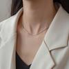 Eco-friendly 304 Stainless Steel Snake Bone Chain Necklace - Simple Titanium Steel Round Design for Couples