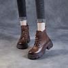 Chaussures d'hiver en peluche pour femmes à talons épais, Bottes à talons épais et Bottines