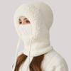 Wind-Resistant Balaclavas Face Mask Neck Scarf Set Hooded Balaclava Ski Hat  for Cold Weather