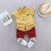 Toddler Kids Baby Boys Cartoon Floral Gentleman Shirt Tops Shorts Outfits Set