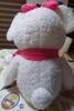 [USED] Teddy Bear (extra Large)