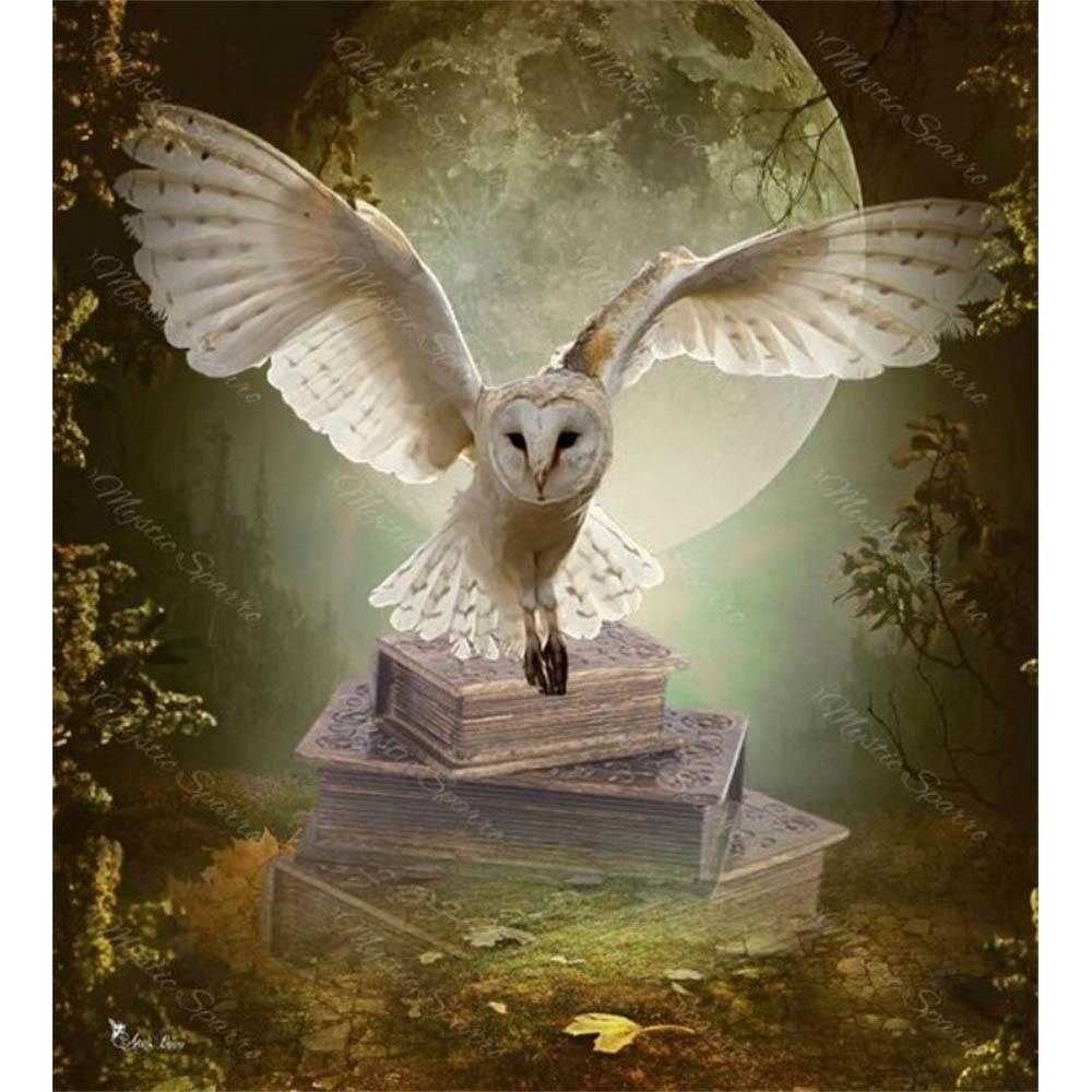 5d Diy Diamond Air Painting Harry Potter Magci Castle Owl New Collection Embroidery Jewelry Home Decor Mosaic Cross Stitch Gift