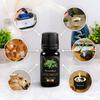 Citronella Essential Oil 10ml