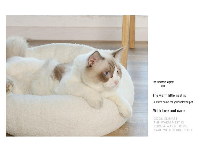 Creative Egg Yolk Pet Bed for Cats & Dogs - Round, Warm, All-Season Mat