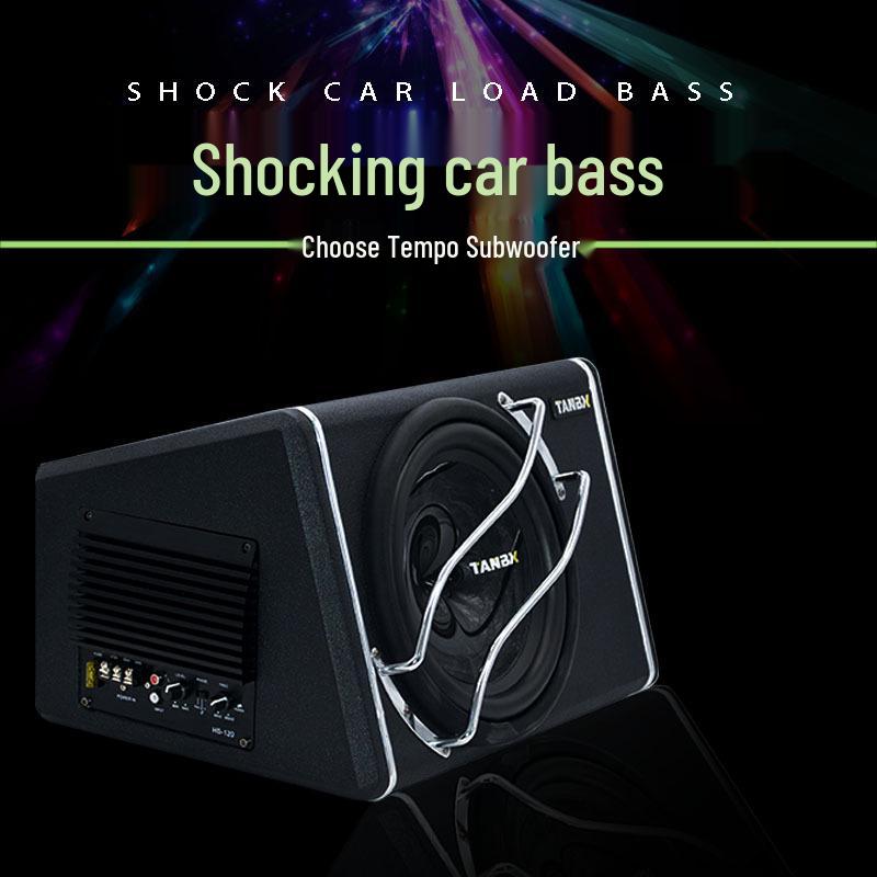 10-Inch High Power Car Audio Subwoofer 1310